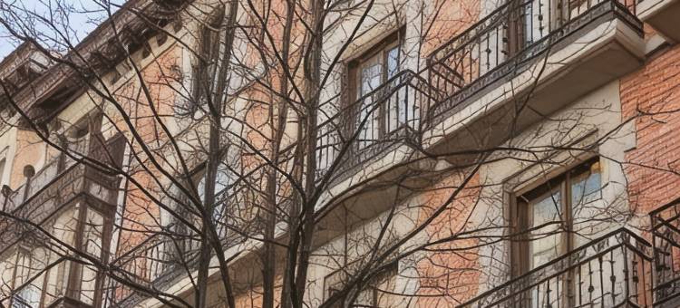 利贝雷毕尔巴鄂勒德斯马(Líbere Bilbao Ledesma)图片