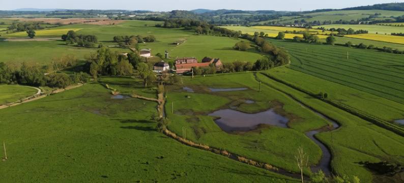 斯提夫沃尔姆生态酒店(Biohotel Stiftsgut Wilhelmsglücksbrunn)图片