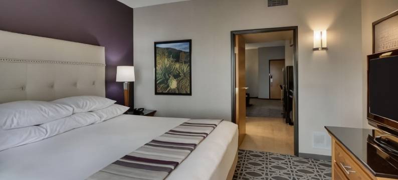 阿尔伯克基北德鲁里套房酒店(Drury Inn & Suites Albuquerque North)图片