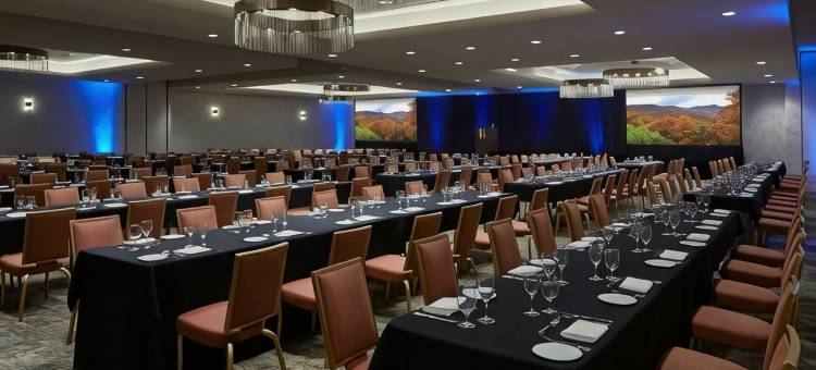 阿什维尔市中心万丽酒店(Renaissance Asheville Downtown Hotel)图片