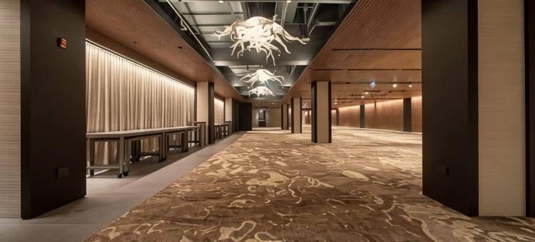 芝加哥奥黑尔机场希尔顿酒店(Hilton Chicago O'Hare Airport)图片