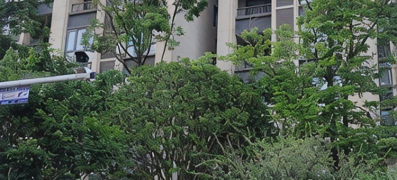 鲜花温馨小家长短租公寓(环湖南路分店)图片