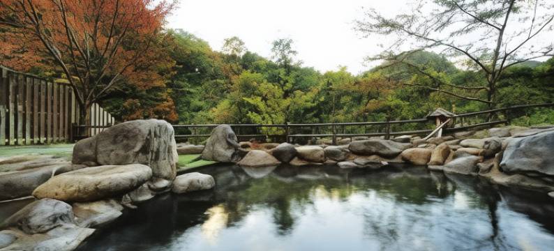 美人汤 濑美温泉 桐之花・山吹之花(Semi Onsen)图片