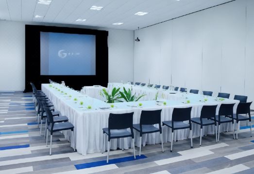 Fontan Ixtapa Hotel Overview