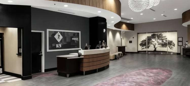 欢朋酒店及套房 - 罗利市中心(Hampton Inn & Suites Raleigh Downtown)图片