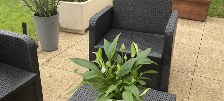 巴黎西部热内维尔港口康铂自然酒店(Campanile NATURE - Paris Ouest Gennevilliers Port)图片