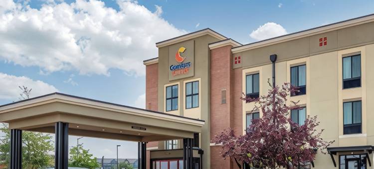 机场-大学舒适套房酒店(Comfort Suites Airport-University)图片