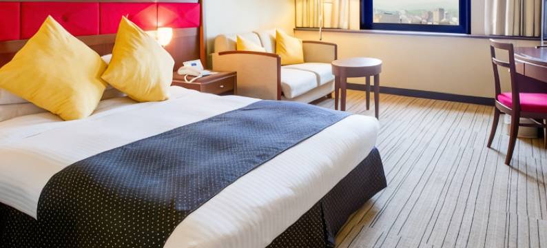 冈山国际酒店(Okayama International Hotel)图片
