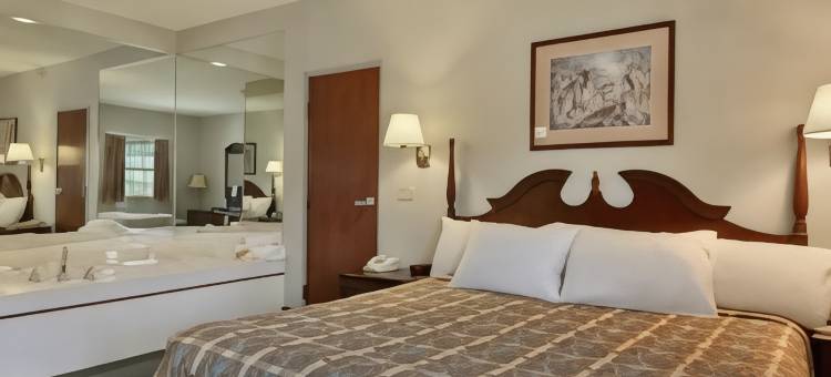 戴斯酒店里斯本(Days Inn by Wyndham Lisbon)图片