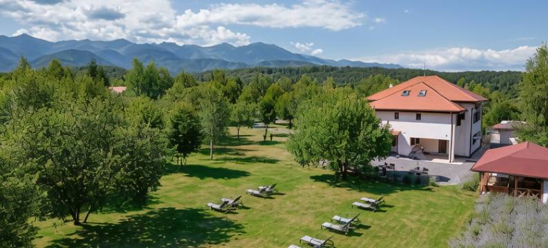 Pensiunea Negoiu图片