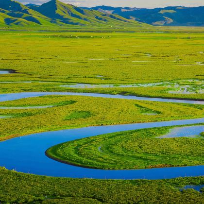 内蒙古锡林郭勒盟乌拉盖草原+锡林郭勒盟草原+赤峰达里湖南岸景区+贡格尔草原+蛤蟆坝景区+乌兰布统草原+承德避暑山庄+乌拉盖湖景区+布林泉6日跟团游