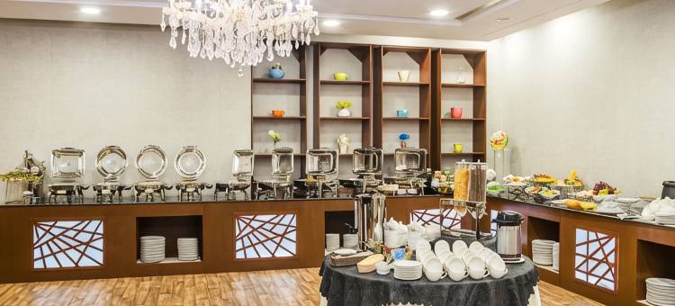 康科德阿拉尔公园酒店(Le Park Concord Arar)图片