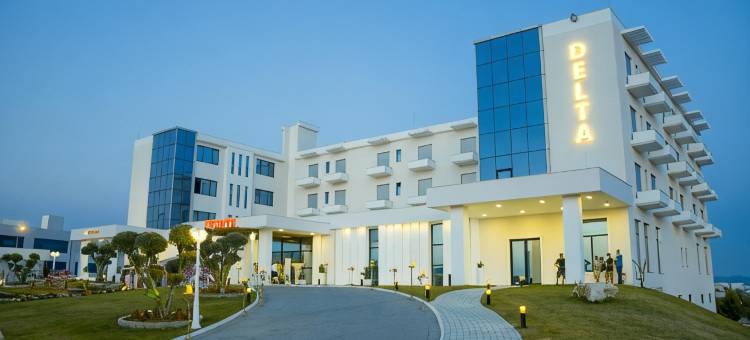 三角洲酒店(Hotel Delta)图片