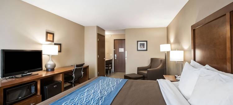 圣路易斯 - 黑泽尔伍德舒适套房酒店(Comfort Inn & Suites St Louis-Hazelwood)图片