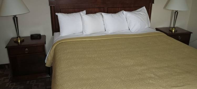凯艺酒店(Quality Inn)图片