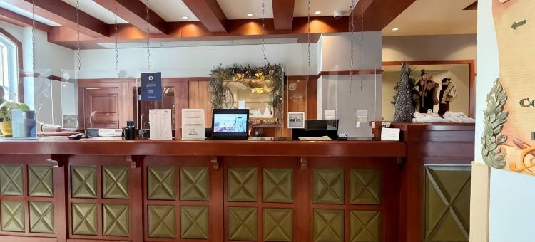 御峰园德内格斯酒店(Sommet des Neiges)图片