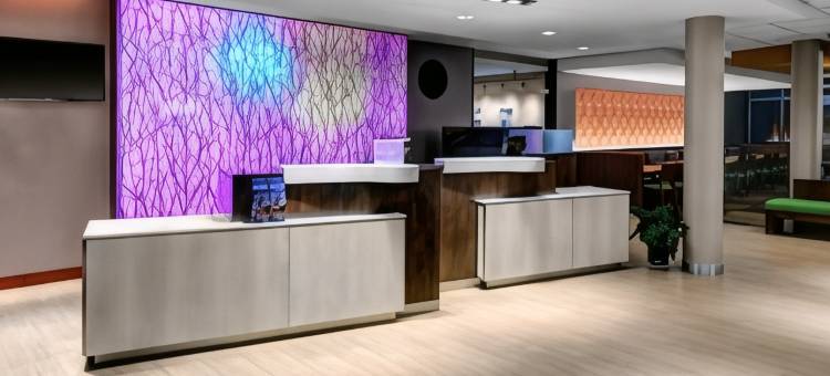 兰辛伊斯特伍德万枫酒店及套房(Fairfield Inn & Suites Lansing at Eastwood)图片