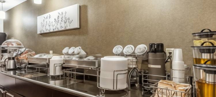 I-90 及阿什塔比拉区舒眠套房酒店(AUSTINBURG HOTEL by IHG)图片