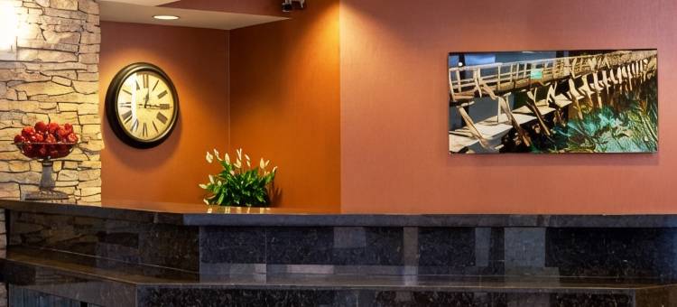韦斯特切斯特县塔雷城SpringHill Suites酒店(SpringHill Suites Tarrytown Westchester County)图片