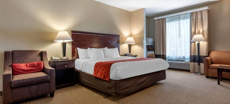 拜洛希海洋温泉舒适套房酒店(Comfort Suites Biloxi/Ocean Springs)图片