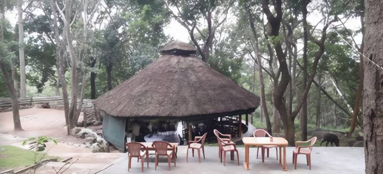 K古迪荒野营舍-丛林小屋(K Gudi Wilderness Camp-Jungle Lodges)图片