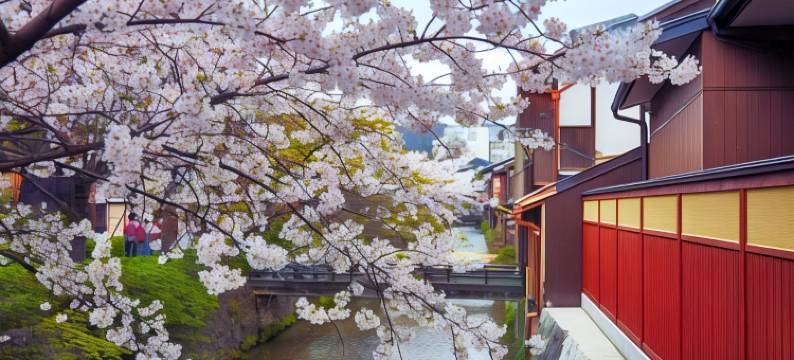铃 祇园花灯路(Rinn Gion Hanatouro)图片