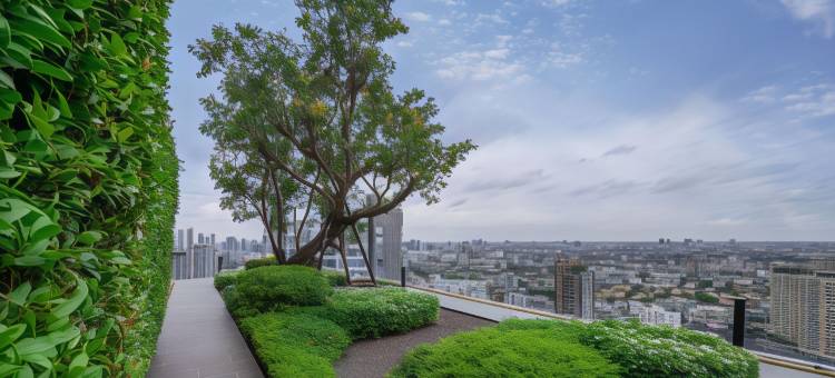 曼谷素坤逸42号温德姆花园酒店(Wyndham Garden Bangkok Sukhumvit 42)图片