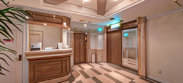 美好酒店-津(Hotel Fine Tsu)图片