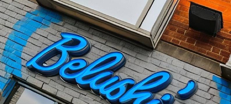 圣克里斯托弗酒店牧羊人的布什旅馆(St Christopher's Inn Shepherd's Bush)图片