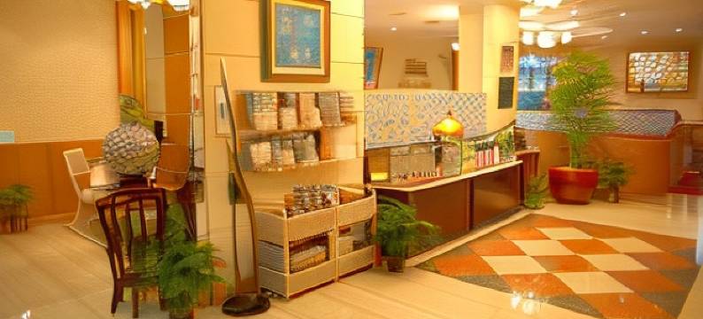 桃园原鹤商务饭店图片