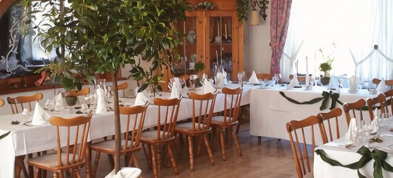 索恩奈克兰德酒店(Landhotel Sonneneck - Breuna im Naturpark)图片