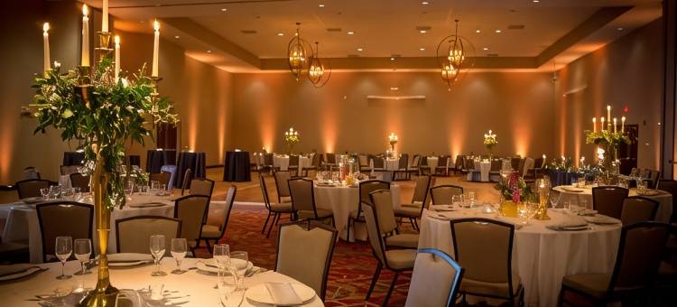 Holiday Inn 米沙沃卡(Holiday Inn Mishawaka - Conference Center)图片