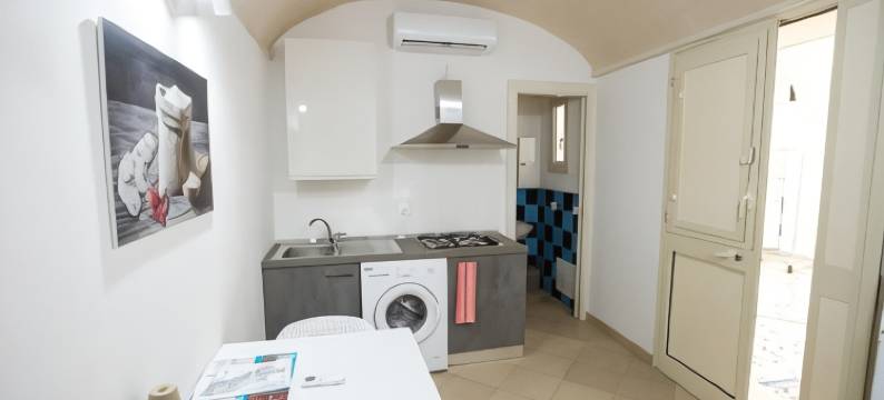 伐戴拉250公寓(Fardella 250)图片