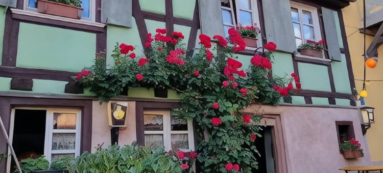 甘布里努斯之家(Gîte Gambrinus)图片