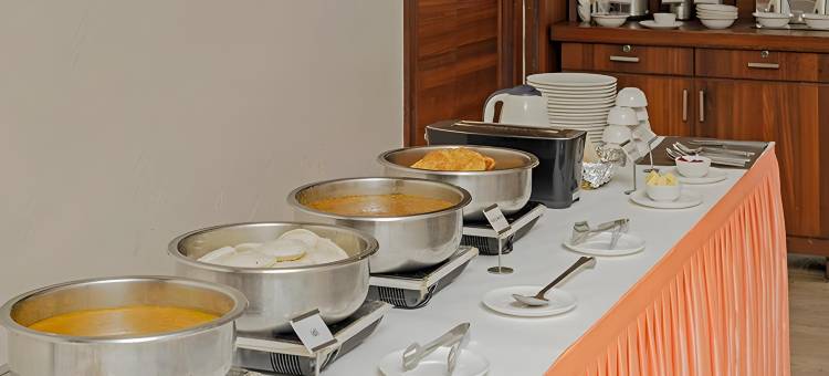 Treebo the King Mohali图片