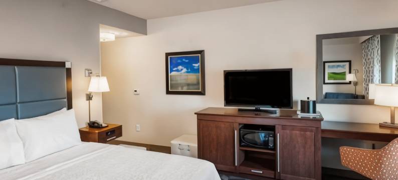 希尔顿欢朋酒店-刘易斯顿(Hampton Inn Lewiston)图片