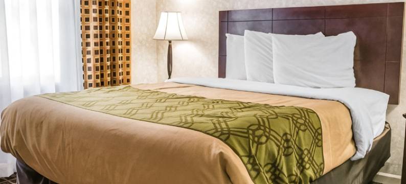 伊康套房旅馆(Econo Lodge & Suites)图片