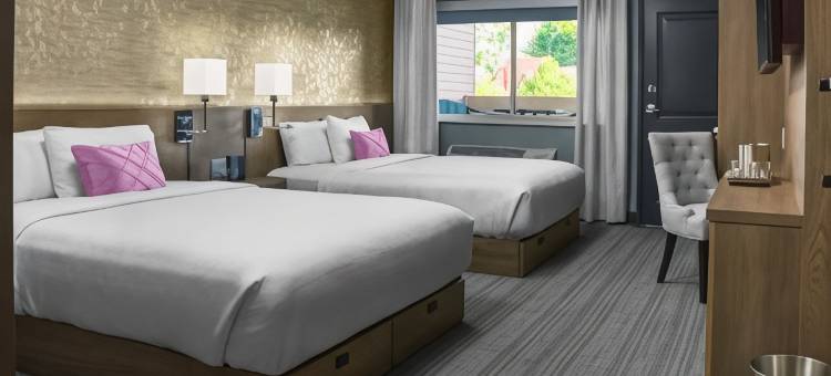 尼亚加拉瀑布voco凯登斯酒店(voco Niagara Falls - the Cadence)图片