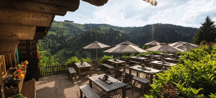 特劳贝通巴赫酒店(Hotel Traube Tonbach)图片