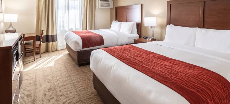 舒适酒店(Comfort Inn)图片