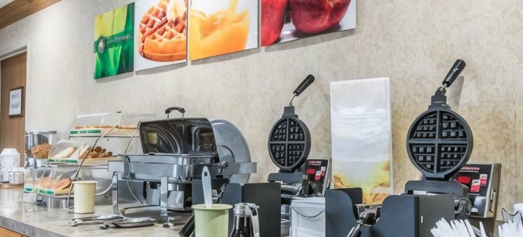 凯艺套房酒店-圣迭戈奥塔伊梅萨(Quality Suites San Diego Otay Mesa)图片