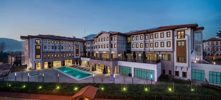 番红花卢希尔顿花园酒店(Hilton Garden Inn Safranbolu)图片