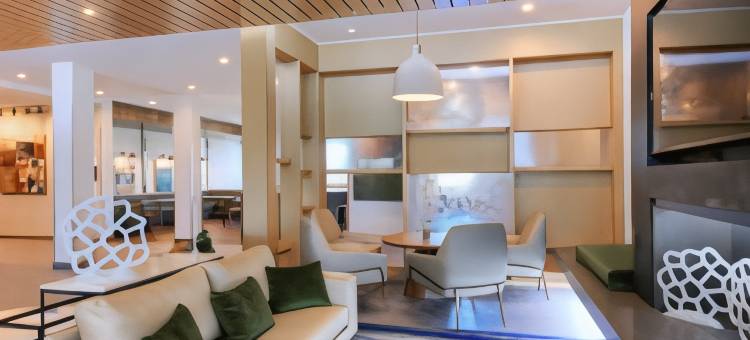 Fairfield Inn & Suites Dallas Cedar Hill图片