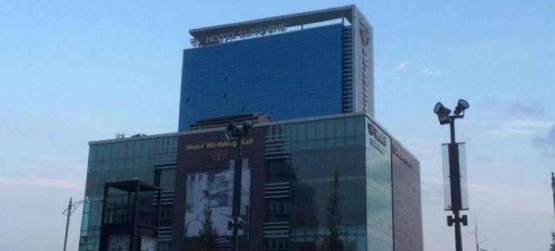 阳光大酒店(Hotel Sunshine)图片