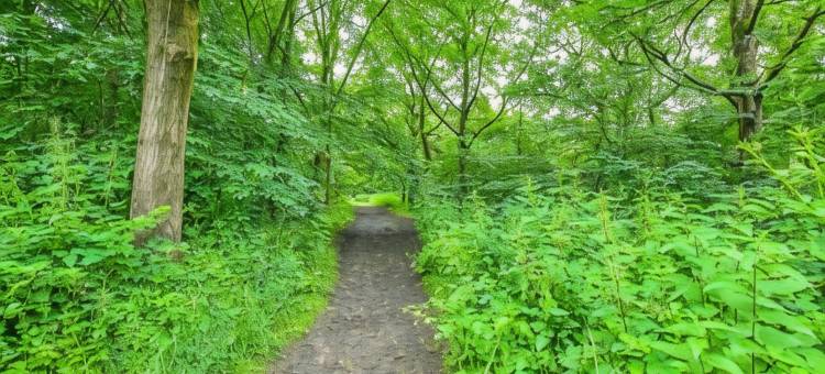 OYO丽晶宾馆曼彻斯特北(Regency Guest House Manchester North)图片