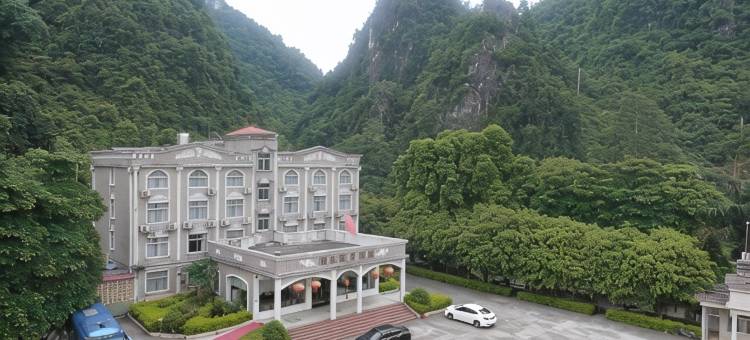 大新硕龙假日酒店图片