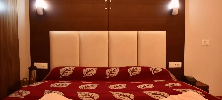 多纳吉里酒店(Hotel Dronagiri)图片