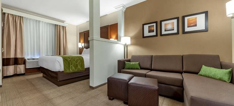 舒适套房酒店(Comfort Suites)图片