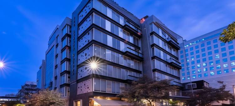 100 奢华套房 - 优选酒店(100 Luxury Suites)图片