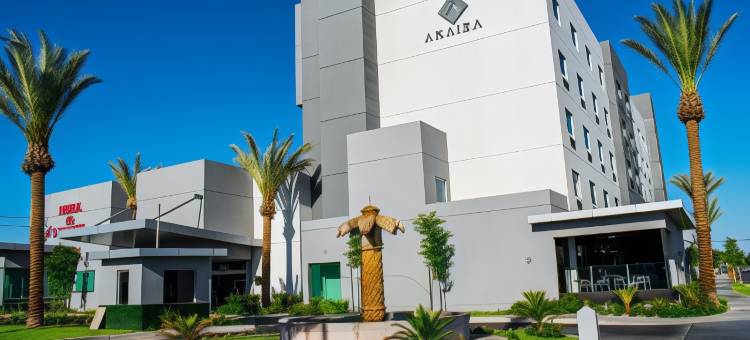 阿来萨沙露伊斯饭店(Hotel Araiza San Luis R.C.)图片